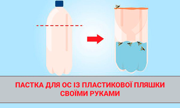 Как сделать ловушку для ос своими руками: пошаговая инструкция